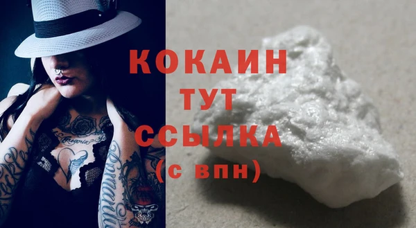 винт Сатка