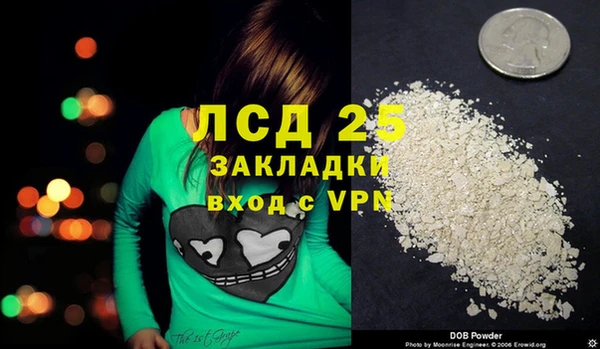 гидра Белокуриха