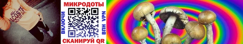 Галлюциногенные грибы мухоморы Козельск